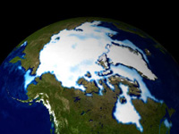 Arctic sea ice 1990