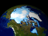 Arctic sea ice 1999